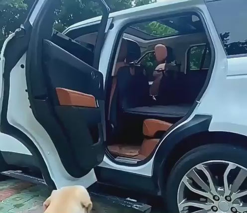 Dog/Cat Car Seat Cover Protector Mat | 50% OFF Till Stock Lasts